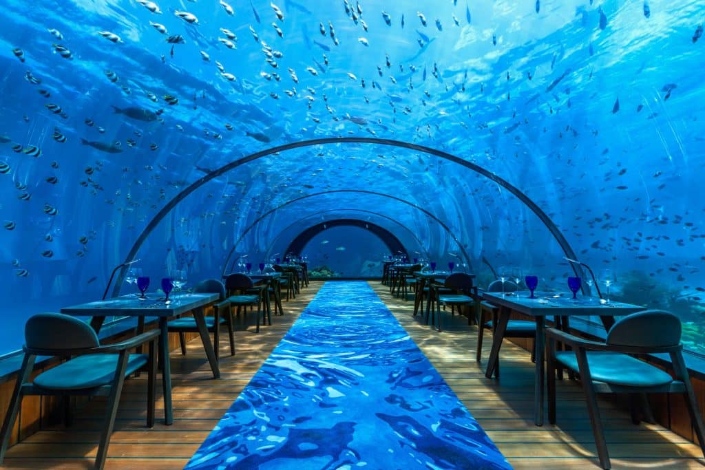 Spotlight Coms Client: Hurawalhi Island Resort Undersea Restaurant